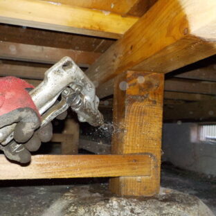 シロアリ駆除・予防、各種害虫駆除やってます。